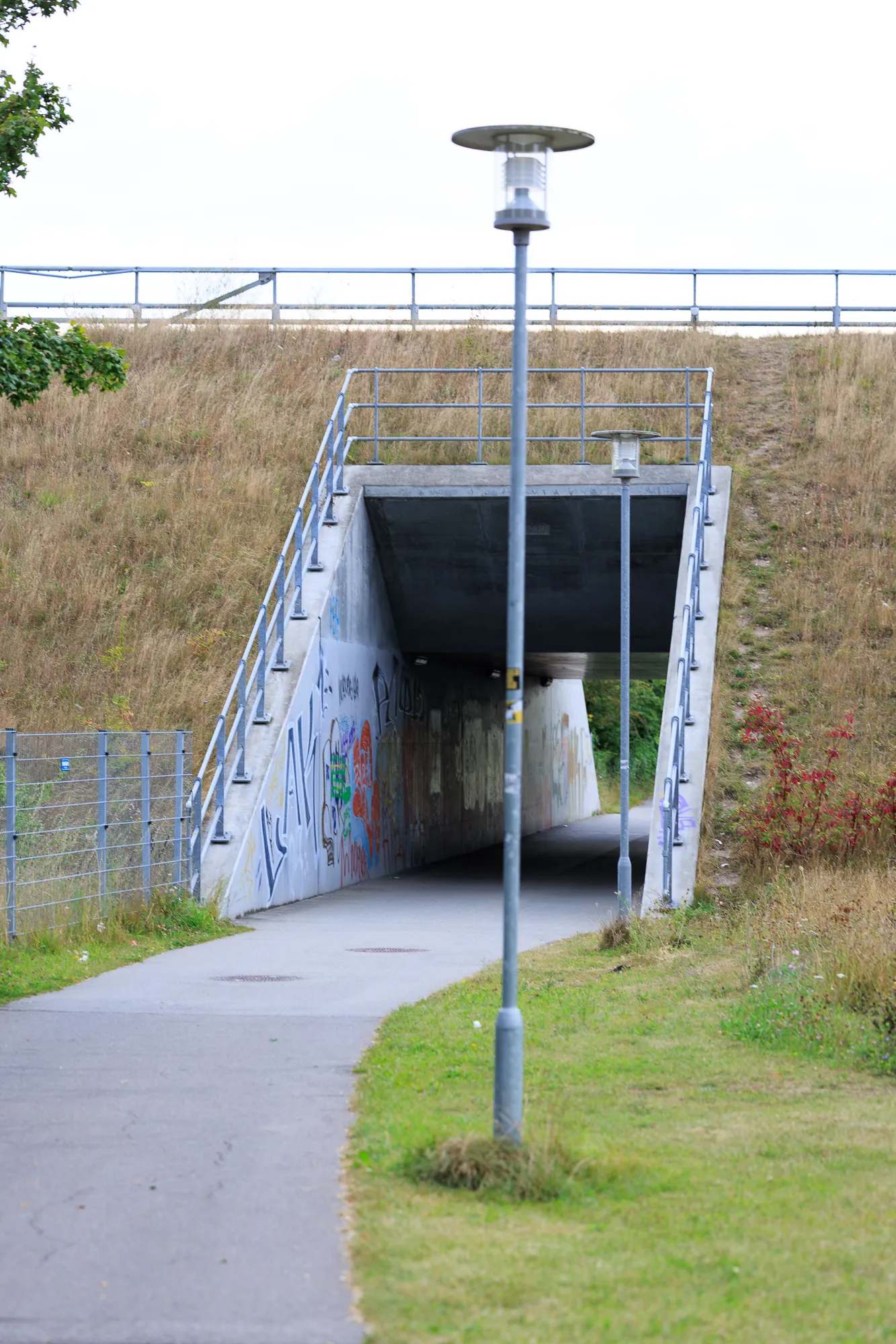 Railside perspective near Hedehusene Station