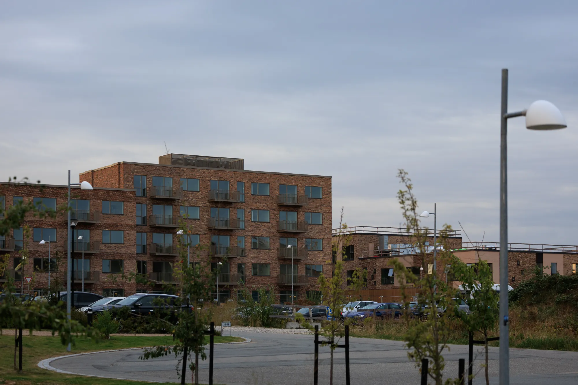 Edges of housing cluster in golden light — Hedehusene