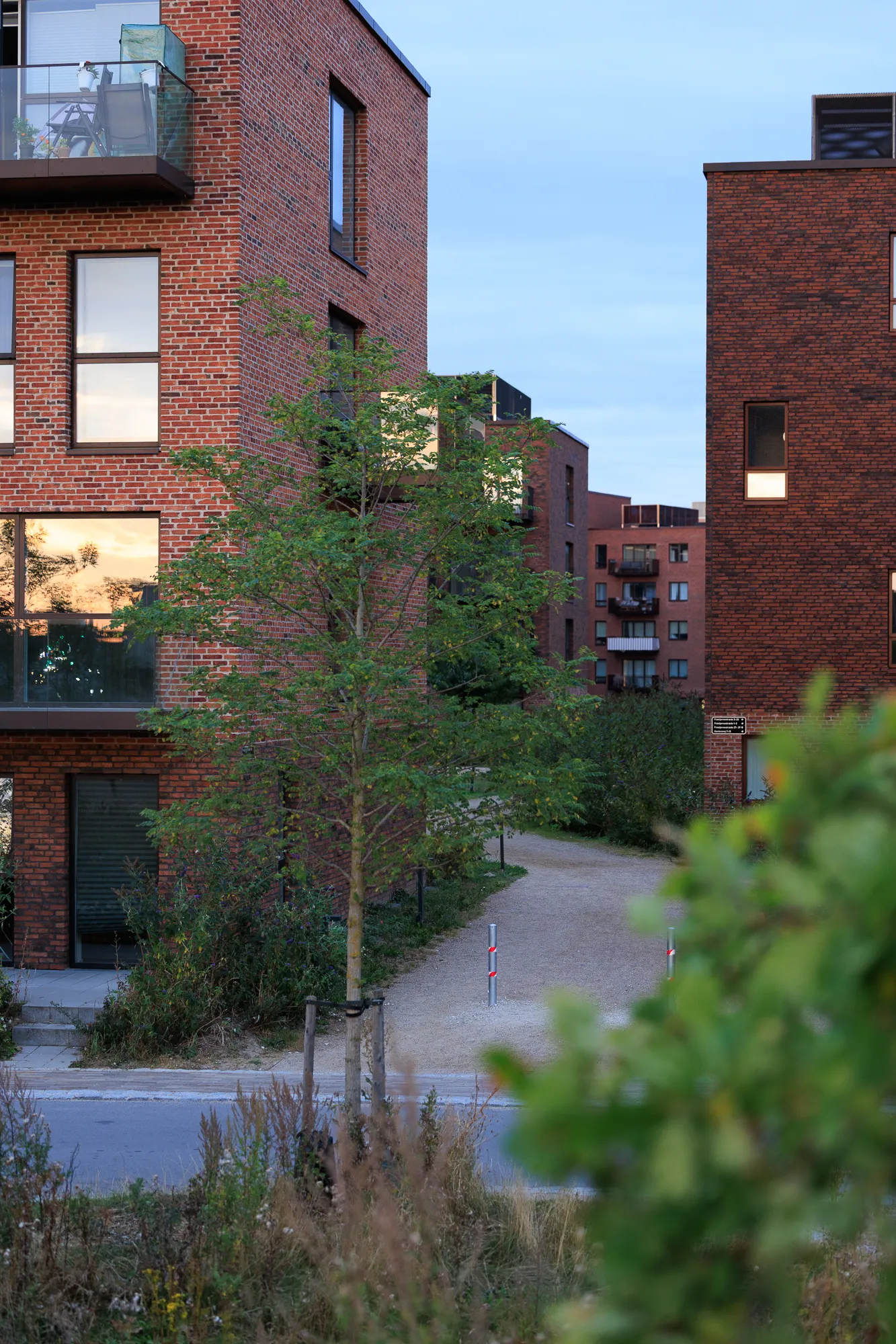Dusk reflections in residential windows — Nærheden