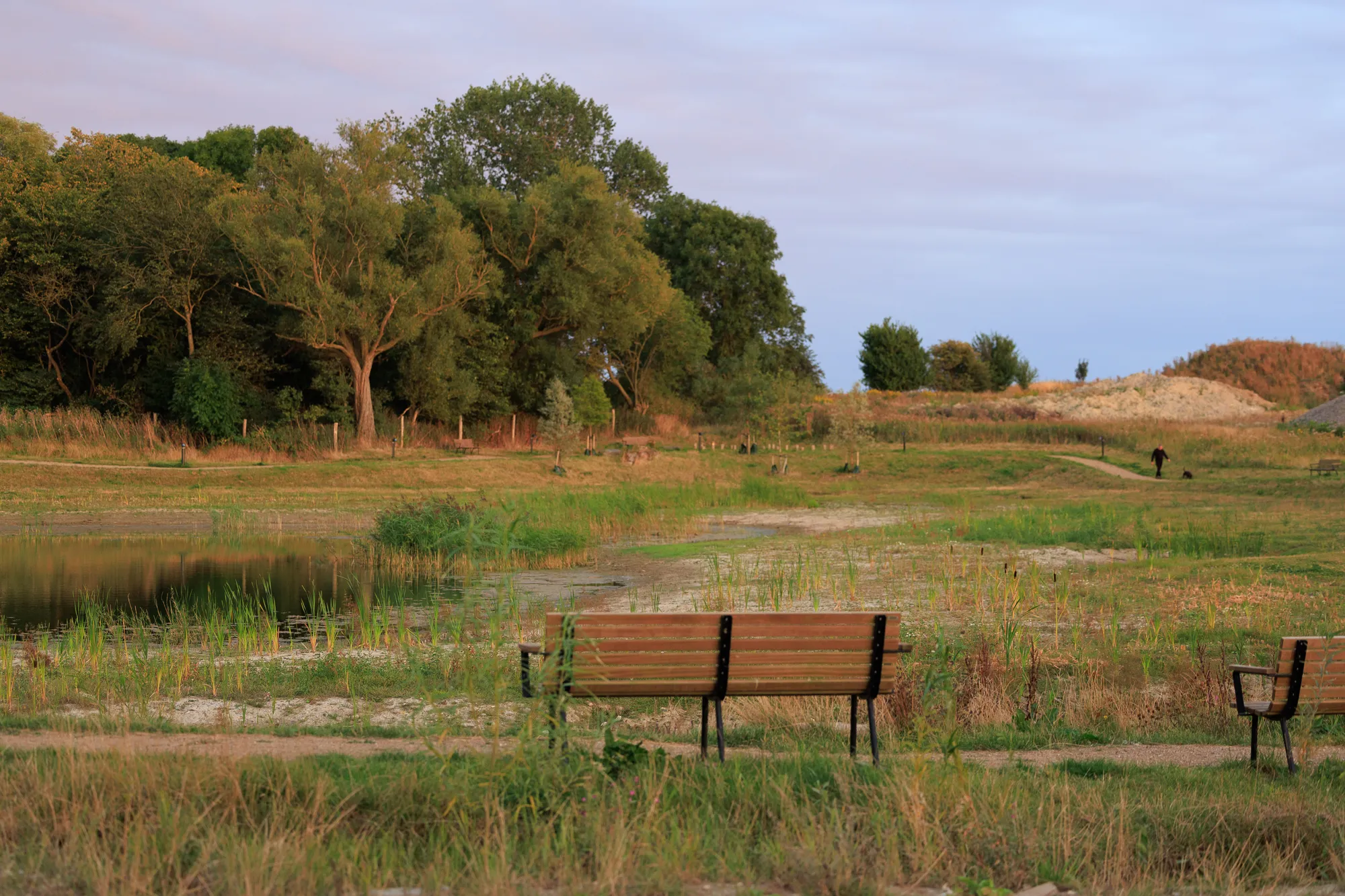 Evening lights along paths — Hedehusene